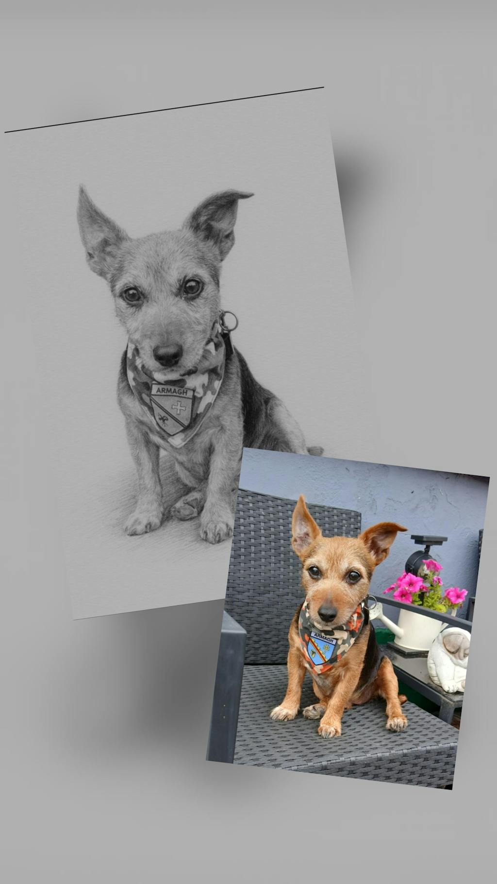 Jean's Tribute to Barney: A Portrait That Will Be Treasured Forever