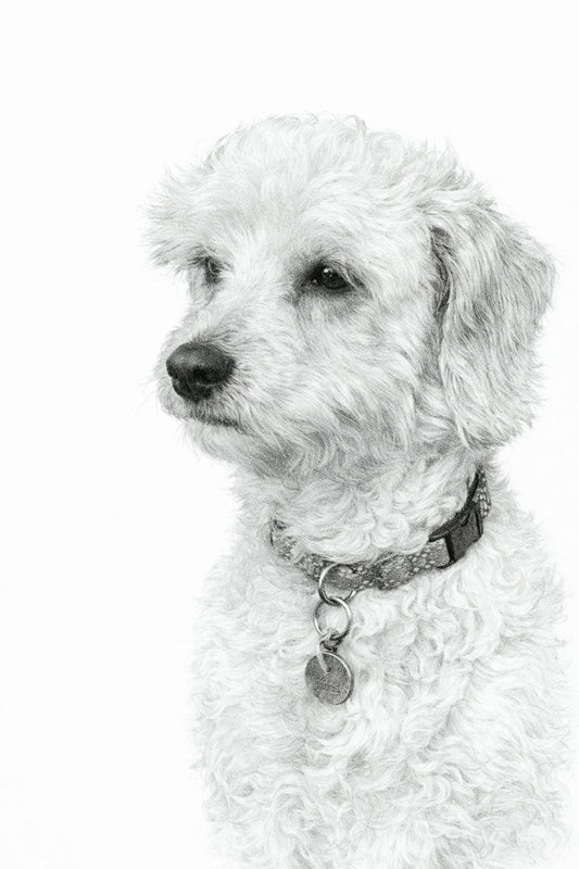 The Perfect Birthday Gift: Sarah's Framed Portrait for Mum