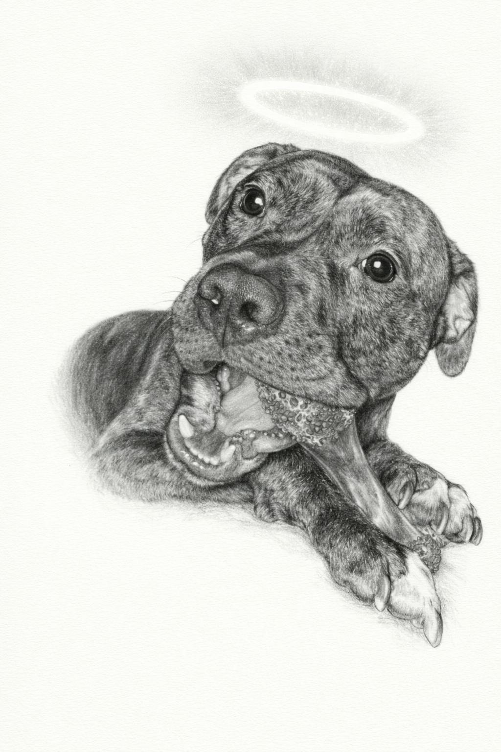 A Portrait That Captured His Beauty - Scott's Memorial Tribute