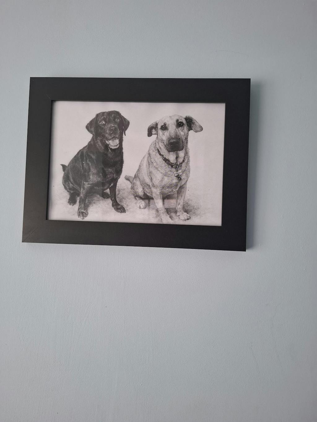 Donna's Story: Why She Came Back for All Six of Her Dogs