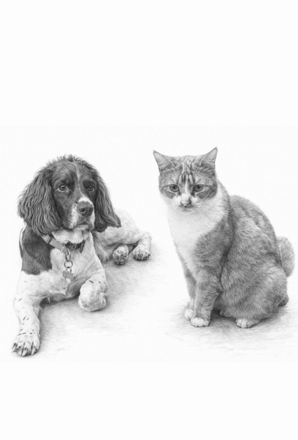 When Moira Turned Her Pet Portrait Into a Glass Wall Tile - A Customer Story