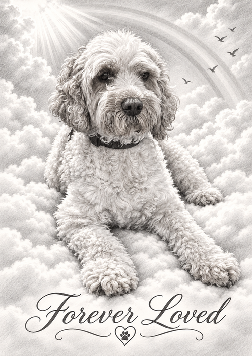 Rainbow Bridge Pet Memorial | Custom Portrait